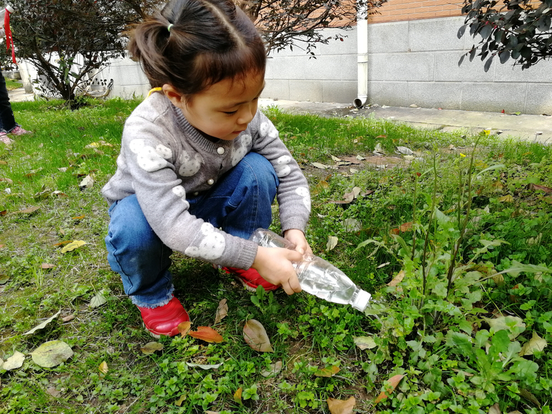 1554341111784017503.jpg 文明月 (7).jpg